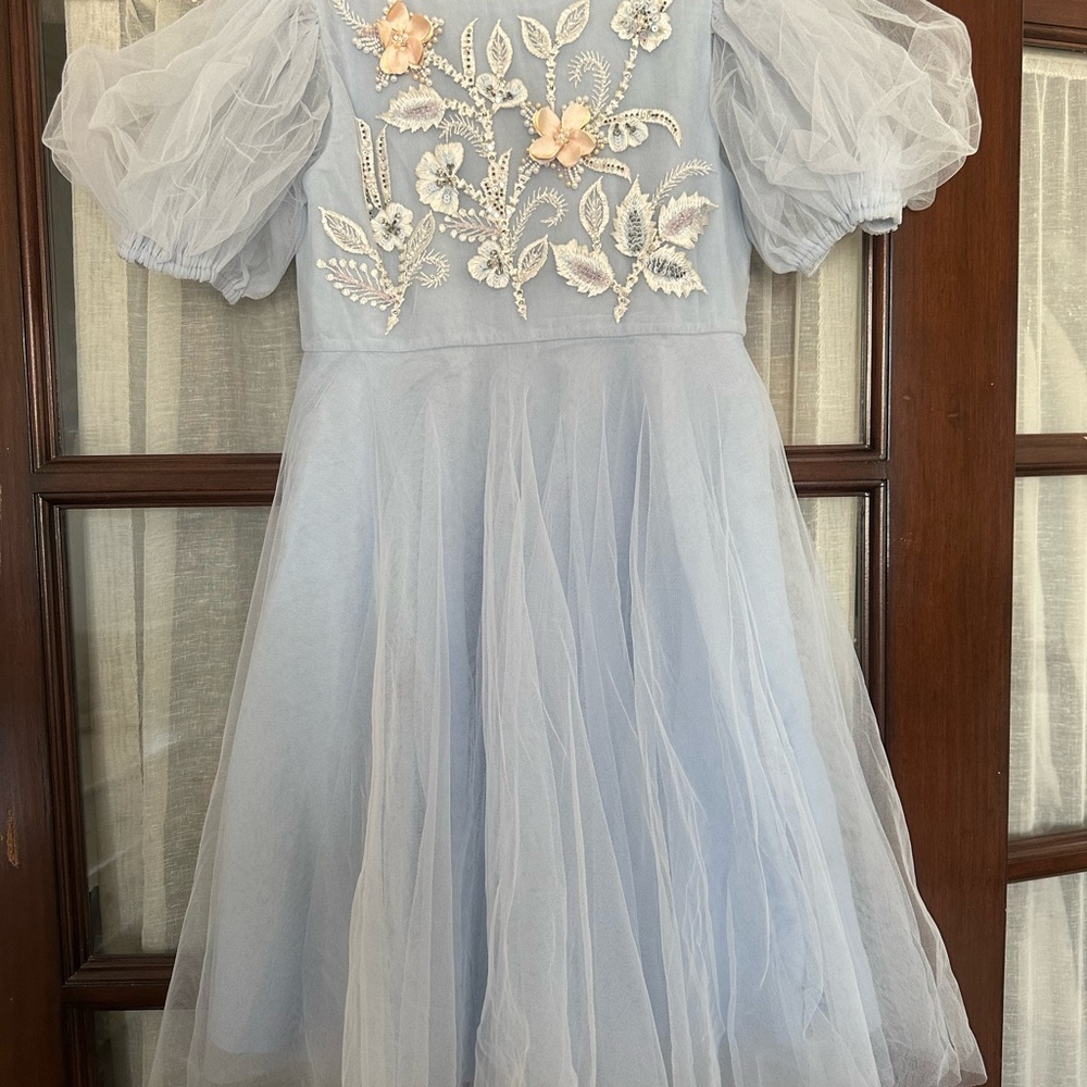 Tutu Du Monde Blue A-Line Dress with Puff Sleeves and Floral Embroidery